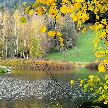 Bruggner Stub'n מלון