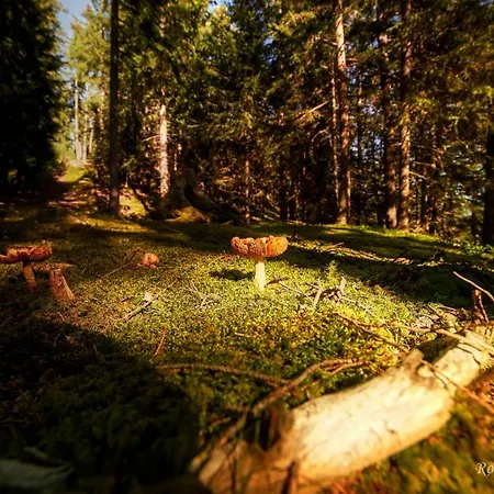 Hotel Bruggner Stub'n 3*