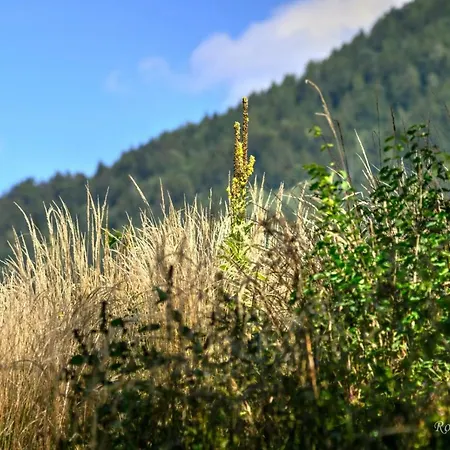 Bruggner Stub'n Hotel Landeck