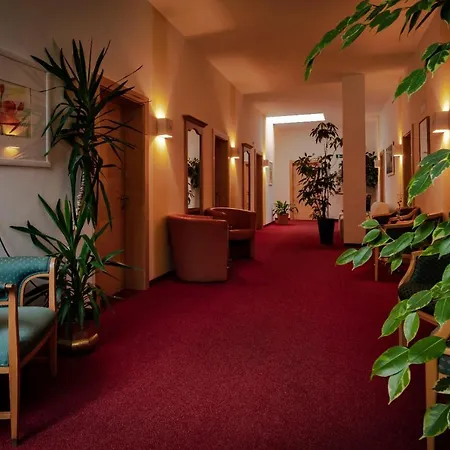 酒店 布鲁讷斯图博恩酒店 3*