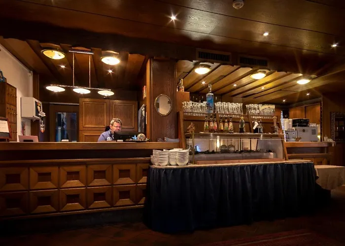 酒店 布鲁讷斯图博恩酒店 3*