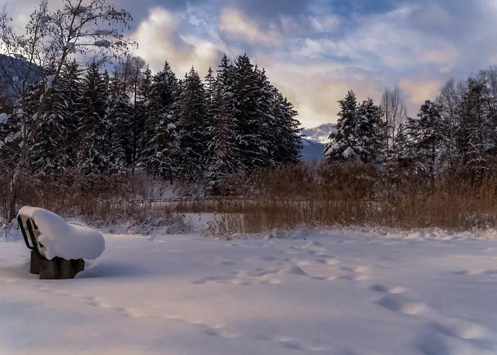 酒店 布鲁讷斯图博恩酒店