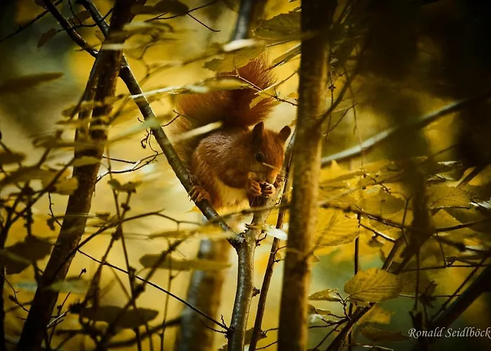 布鲁讷斯图博恩酒店 兰德埃克