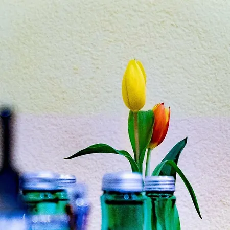 Hotel Bruggner Stub'n 3*