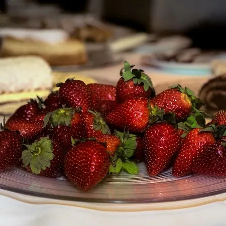 Bruggner Stub'n Landeck