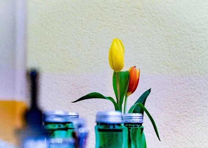 Hotel Bruggner Stub'n 3*