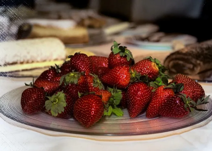 Bruggner Stub'n Landeck