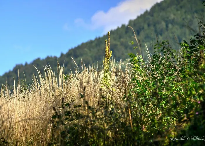 Bruggner Stub'n Hotel Landeck